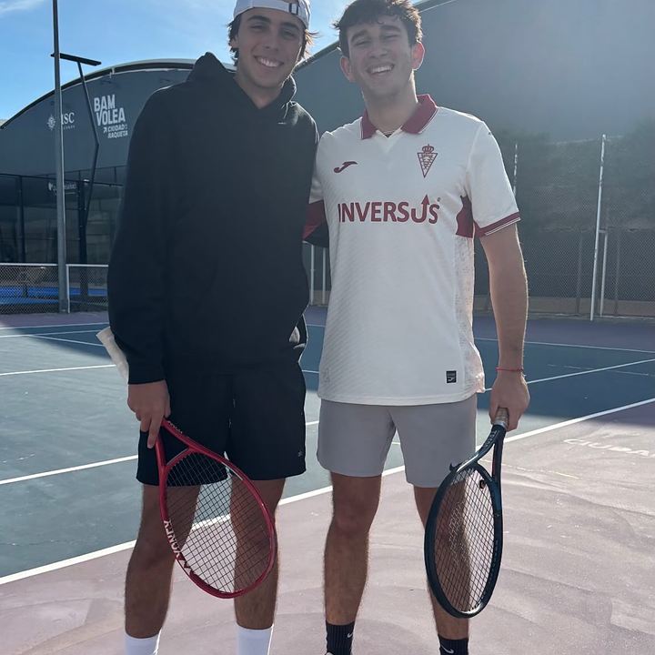 Tenis
